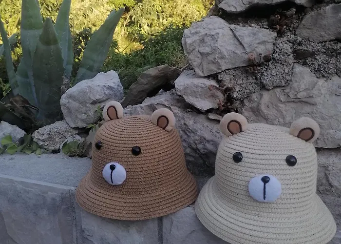 Best Host 2025- Stone Art House *